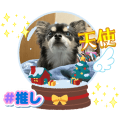 kamomi_20251004122653