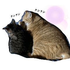 maimai_20251004122935