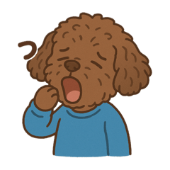 cocoa_20251004124716