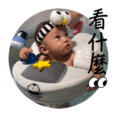 可愛の多多在這裡2