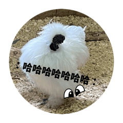 澳洲動物大集合