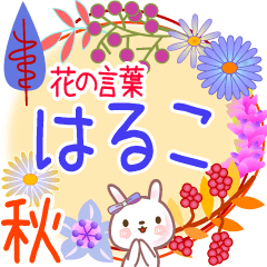 Haruco's Flower Words for Fall