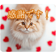 ゆるかわ猫の引き寄せスタンプ