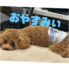 i love dog_20251004134524