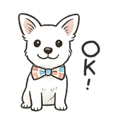 Lemon_20251004141515