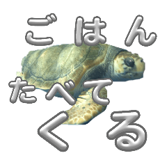 yuchi_20251004133826