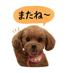 Emi_2025100418002