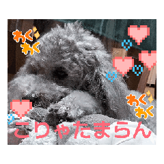 可愛いシルバートイ クリシェ２５.10