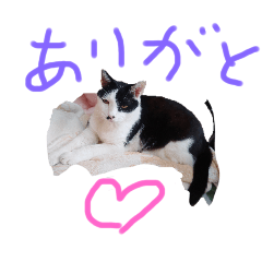 chika_20251004143840