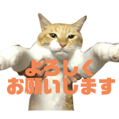 an_20251004170355