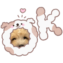 Jenny_20251004180308