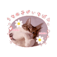 kaori_20251004231152