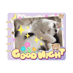 kaori_20251005013437