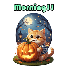 Orange Chubpy Halloween Cat