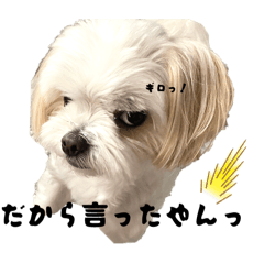 aimana_20251004171734