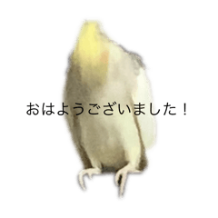 M_20251004174225