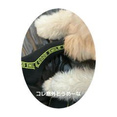 meimei_20251004193849