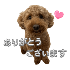 Furifurisipponoreokun