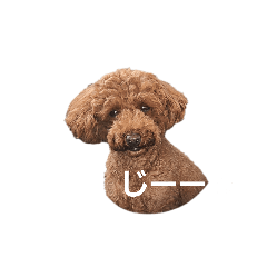 Chie_20251004184750
