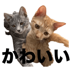 MUMU_20251004201610