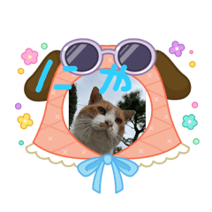 Yonpi_20251004213221