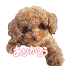 Yukie_20251004234715