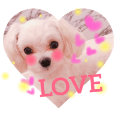 be honest with one's feelings