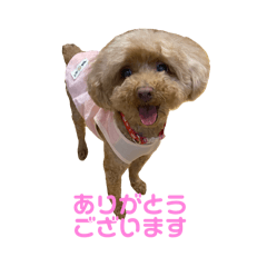 m_20251004225201