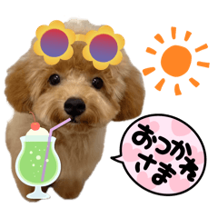 kinako_20251004204835