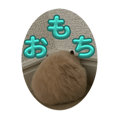 Popomaron_20251004210103