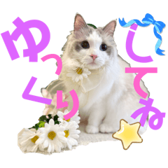 Sakura_20251004210106