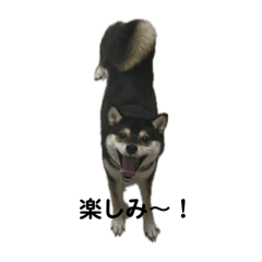 CHIHIRO_20251004214641