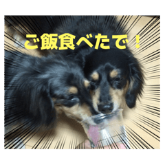 jejeje_20251004211110