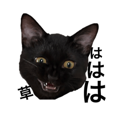 ururun_20251004230632