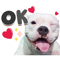 Maewnam Family Dukdik