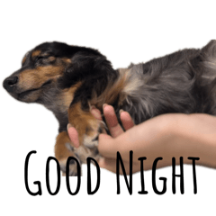 candy_20251005002317