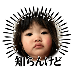 SHUGAR_20251005001149