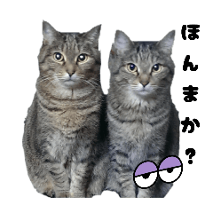 natsu_20251005021232