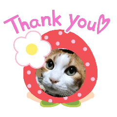 Happy Lucky_20251004215704