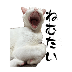 karin_20251005095555