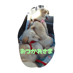 ne-ne_20251004222457