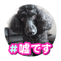 maousama_20251005004639