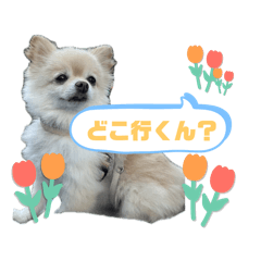 ohagi_20251004231810