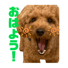 ayu_20251005102945