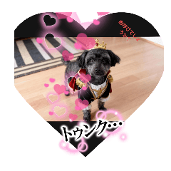 HANA_20251005054444