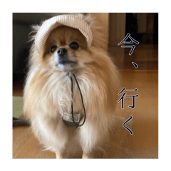 kurumi_20251004222205