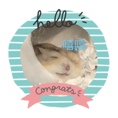 「奶茶」的搞笑日常