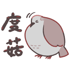 古菇顧 ! 日常鳥日子