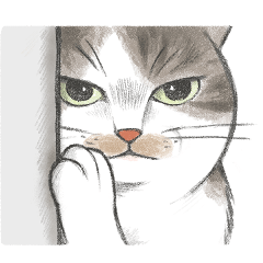 Momo貓-已讀亂喵