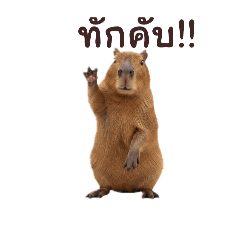 ohmmy_20251005031709